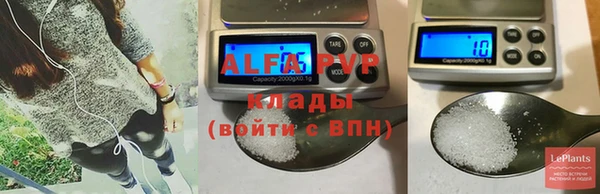 дживик Белокуриха