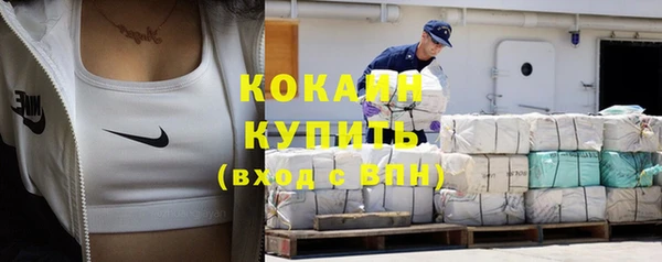 дживик Белокуриха