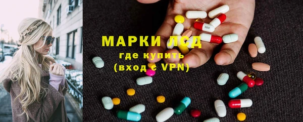 дживик Белокуриха