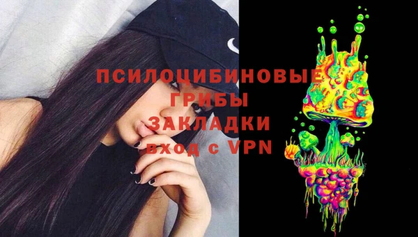 дживик Белокуриха