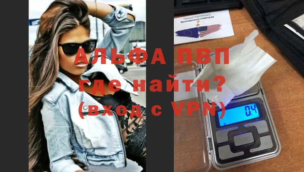 дживик Белокуриха
