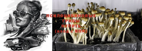 a pvp Беломорск